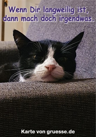 grusskarte-diverses-bloede-sprueche_004