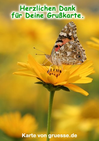 grusskarte-diverses-danke_007