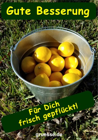 grusskarte-diverses-gute-besserung_001