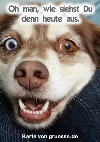 grusskarte-diverses-spass_006