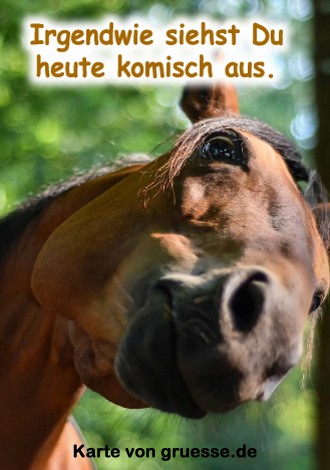 grusskarte-diverses-spass_009