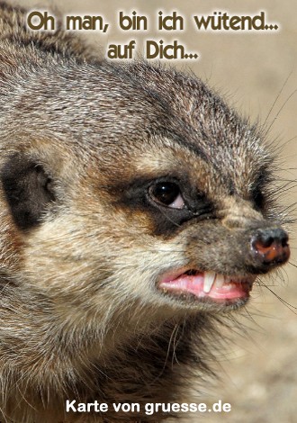 grusskarte-diverses-streit_005