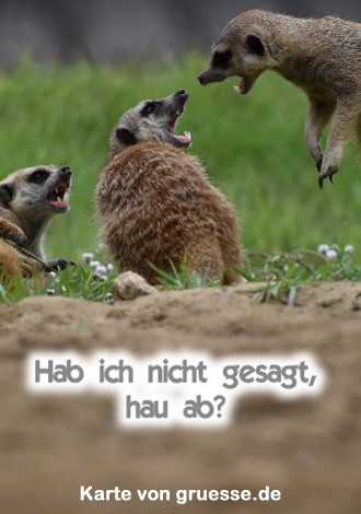 grusskarte-diverses-streit_006