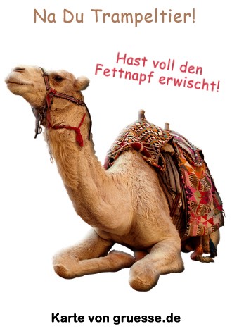 grusskarte-diverses-streit_025