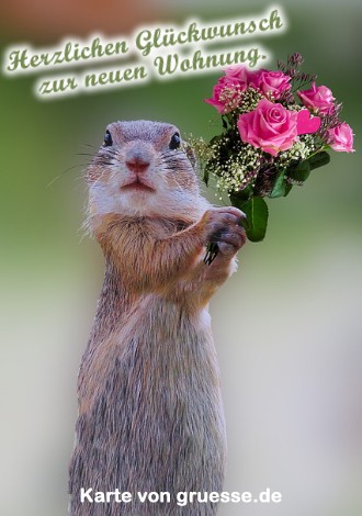 grusskarte-glueckwuensche-neue-wohnung_001