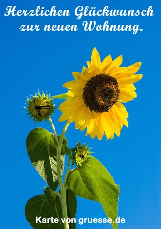 grusskarte-glueckwuensche-neue-wohnung_003