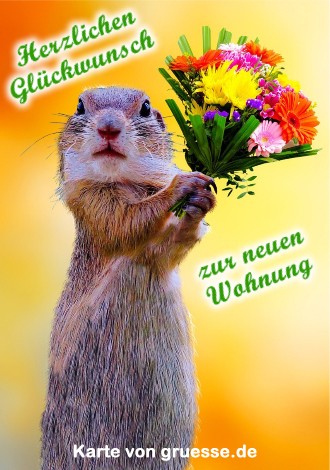 grusskarte-glueckwuensche-neue-wohnung_004