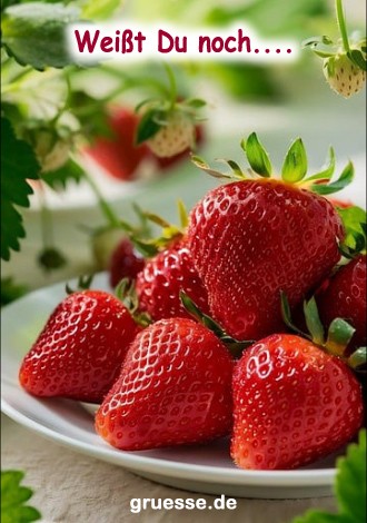 grusskarte-KI-liebe_013