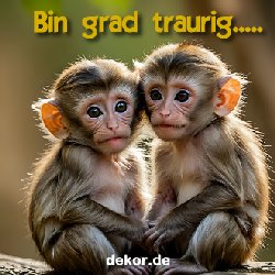 diverses_001