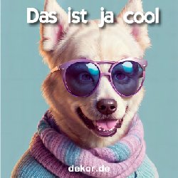 diverses_019