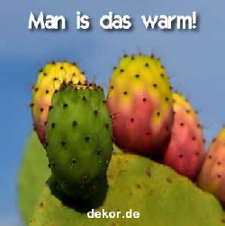 hitze_004