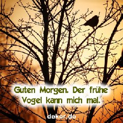 zeiten-guten-morgen_003