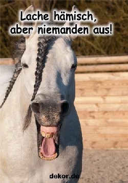 grusskarte-diverses-bloede-sprueche_015