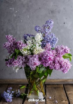 grusskarte-diverses-blumengruesse_004
