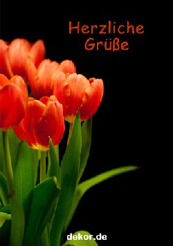 grusskarte-diverses-blumengruesse_008