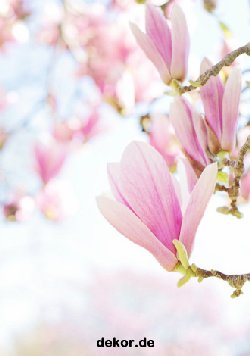grusskarte-diverses-blumengruesse_011