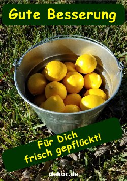 grusskarte-diverses-gute-besserung_001