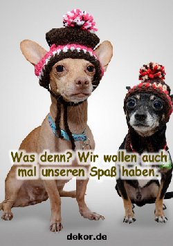 grusskarte-diverses-spass_003