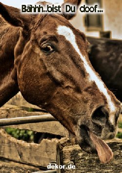 grusskarte-diverses-spass_011