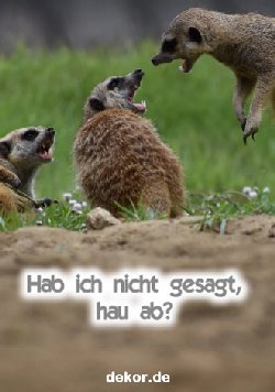 grusskarte-diverses-streit_006
