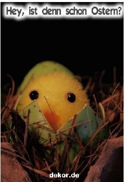 grusskarte-festtage-ostern-standard_015