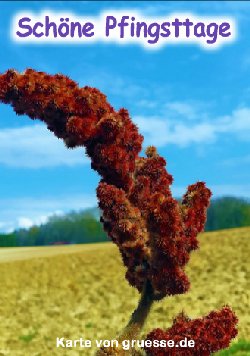 grusskarte-festtage-pfingsten-standard_007