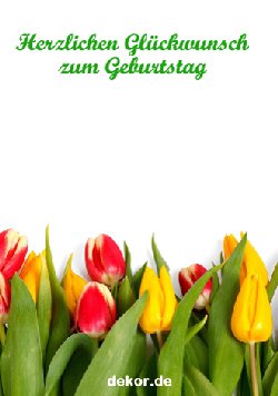 grusskarte-glueckwuensche-geburtstag-allgemein_020