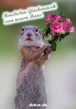 grusskarte-glueckwuensche-namenstag_016