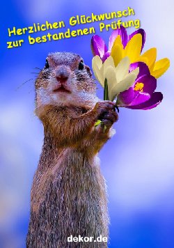 grusskarte-glueckwuensche-pruefung_003