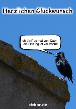 grusskarte-glueckwuensche-pruefung_008
