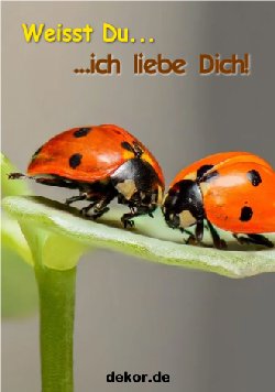 grusskarte-herzensgruesse-liebe_001
