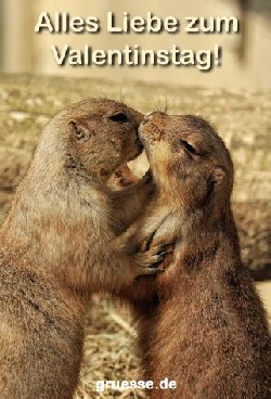 grusskarte-herzensgruesse-valentinstag_029