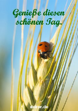 grusskarte-zeiten-guten-tag_003