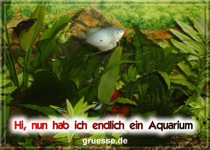 grusskarte-diverses-aquarianer-b_003