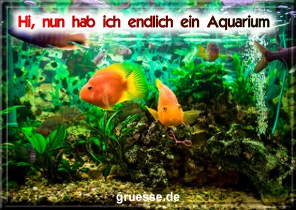 grusskarte-diverses-aquarianer-b_005