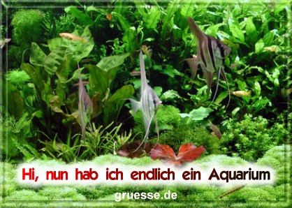 grusskarte-diverses-aquarianer-b_006