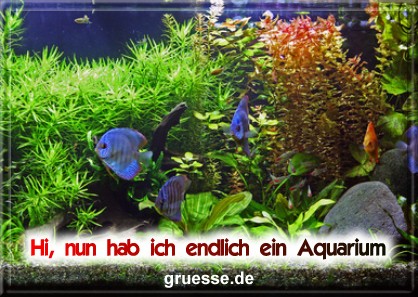 grusskarte-diverses-aquarianer-b_007
