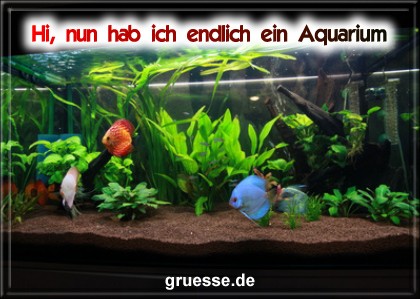 grusskarte-diverses-aquarianer-b_008