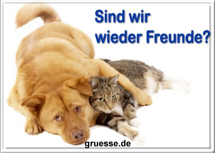 grusskarte-diverses-verzeihung-b_005