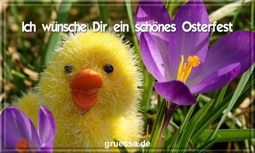 grusskarte-festtage-ostern-standard-2-b_010