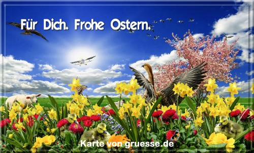 grusskarte-festtage-ostern-standard-2-q_036