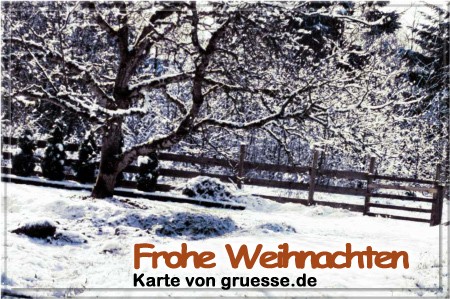 grusskarte-festtage-weihnachten-art-3-q_013