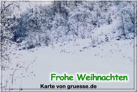 grusskarte-festtage-weihnachten-art-3-q_016