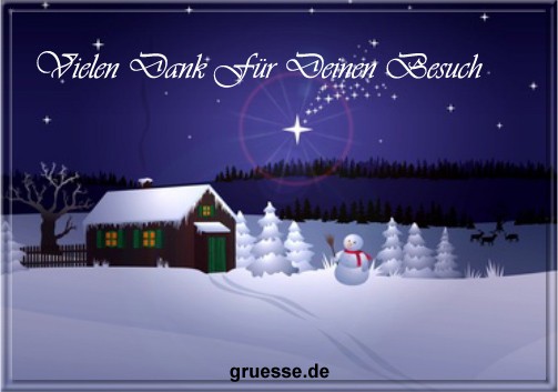grusskarte-festtage-weihnachten-danke-b_017