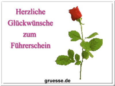 grusskarte-glueckwuensche-fuehrerschein-b_008