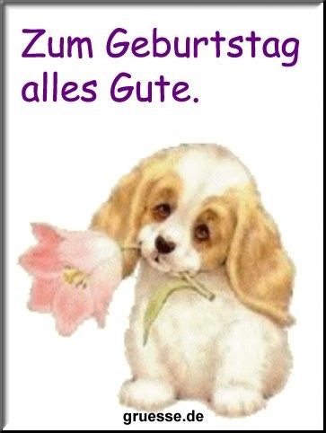 grusskarte-glueckwuensche-geburtstag-grosse-karten-b_026