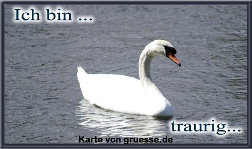 ich-bin-ich-bin-traurig_014