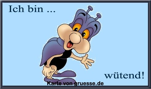 ich-bin-ich-bin-wuetend_007