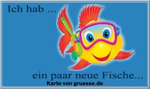 ich-hab-ich-hab-neue-fische_004