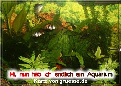 grusskarte-diverses-aquarianer-q_002